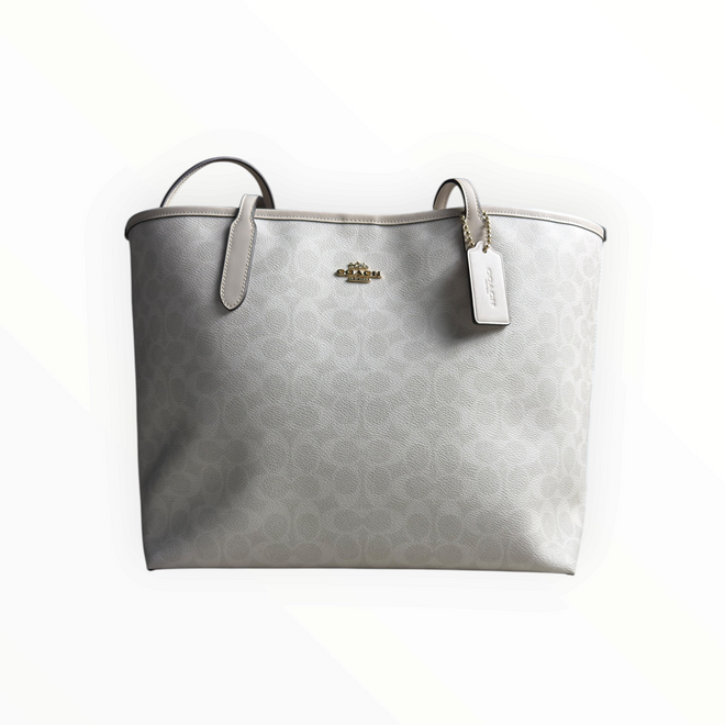 BOLSA COACH