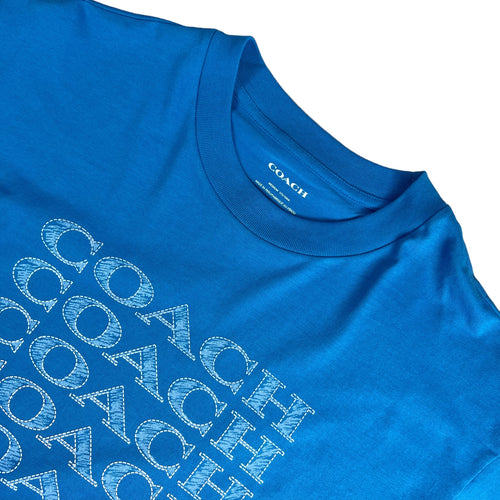 PLAYERA COACH
