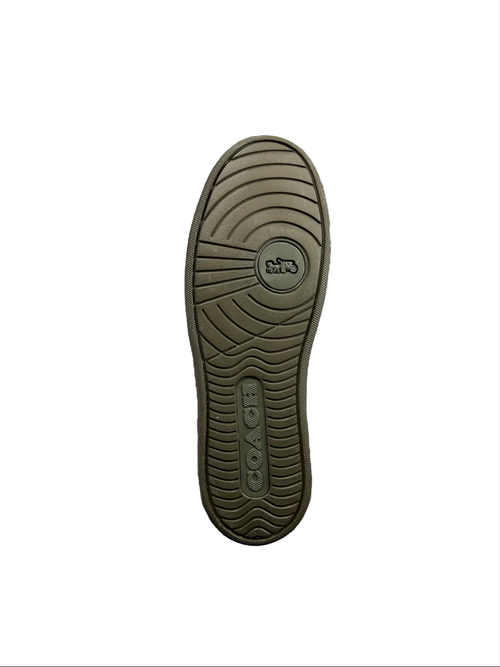 Tenis Coach